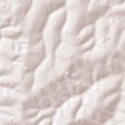 Novais Terrain Map