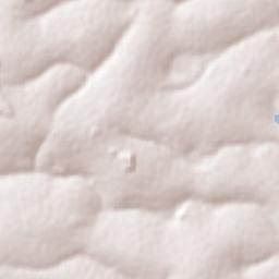 Pitangueiras Terrain Map