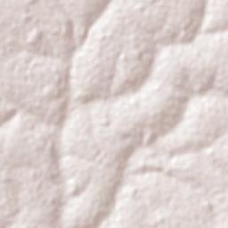 José Bonifácio Terrain Map