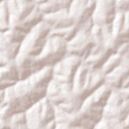 Pirangi Terrain Map