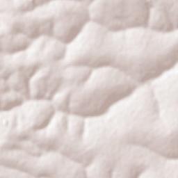 Taquaral Terrain Map