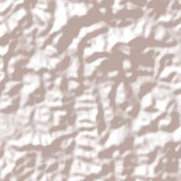 Perdões Terrain Map