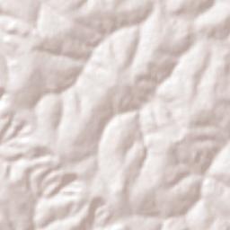 Catanduva Terrain Map