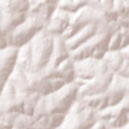 Ariranha Terrain Map