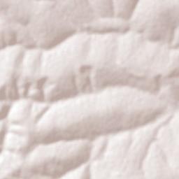 Taiúva Terrain Map