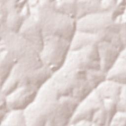 Marapoama Terrain Map