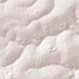 Jaboticabal Terrain Map