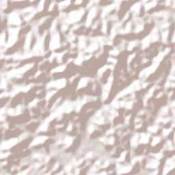 Barbacena Terrain Map