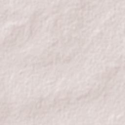 Telfer Terrain Map