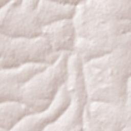 Coroados Terrain Map