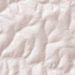 Taquaritinga Terrain Map