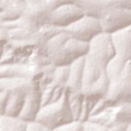 Santa Ernestina Terrain Map