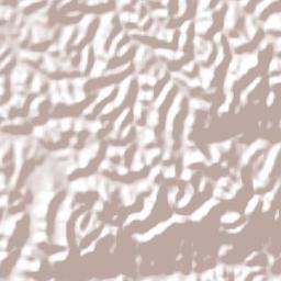 Antônio Carlos Terrain Map