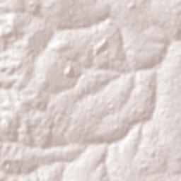 Avanhandava Terrain Map