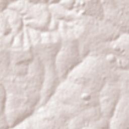 Novo Horizonte Terrain Map