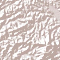 Cardoso Moreira Terrain Map