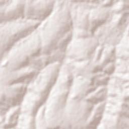 Salmourão Terrain Map