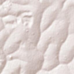 Itápolis Terrain Map