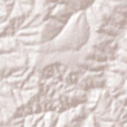Osvaldo Cruz Terrain Map