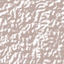 Bias Fortes Terrain Map