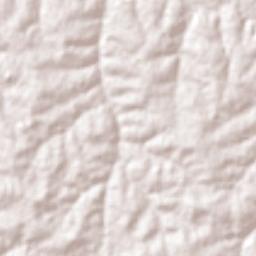 Getulina Terrain Map