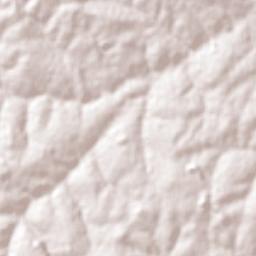 Cafelândia Terrain Map