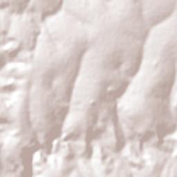 Gavião Peixoto Terrain Map