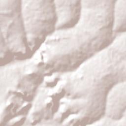 Araraquara Terrain Map