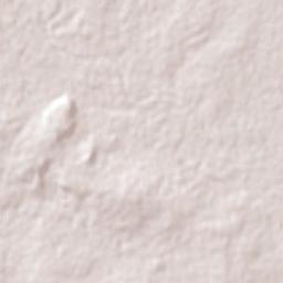 Moranbah Terrain Map