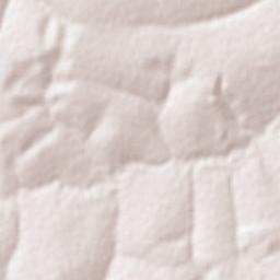 Angélica Terrain Map