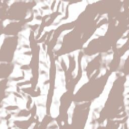 Provincia Arce Terrain Map