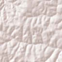 Regente Feijó Terrain Map