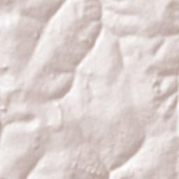 João Ramalho Terrain Map