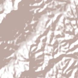 Dom Viçoso Terrain Map