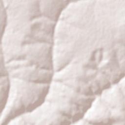 Tarabai Terrain Map