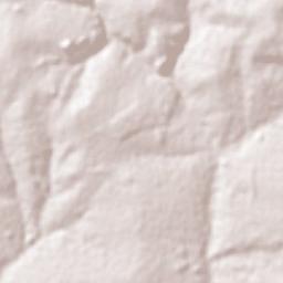Paraguaçu Paulista Terrain Map
