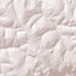 Dois Córregos Terrain Map