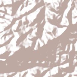 Petrópolis Terrain Map