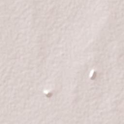 Tamasane Terrain Map