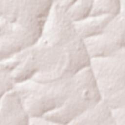 Vicentina Terrain Map