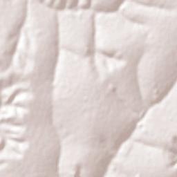 Sandovalina Terrain Map