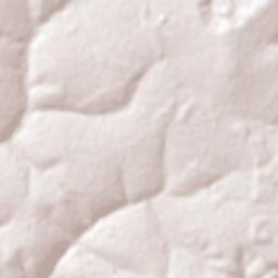 Taciba Terrain Map