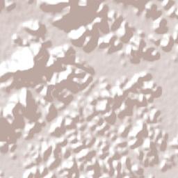 Guapimirim Terrain Map