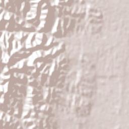 General Enrique Mosconi Terrain Map