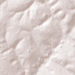 Platina Terrain Map