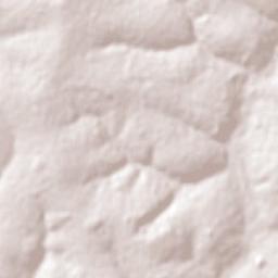 Campos Novos Paulista Terrain Map