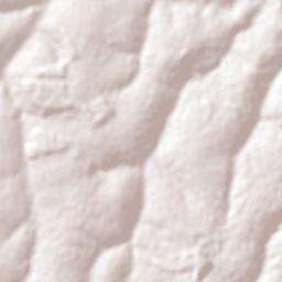 Lençóis Paulista Terrain Map