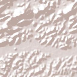 Silva Jardim Terrain Map