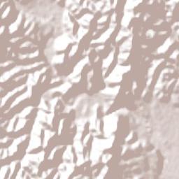 Bermejo Terrain Map