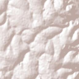 São Manuel Terrain Map